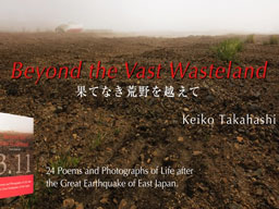 Beyond the Vast Wasteland